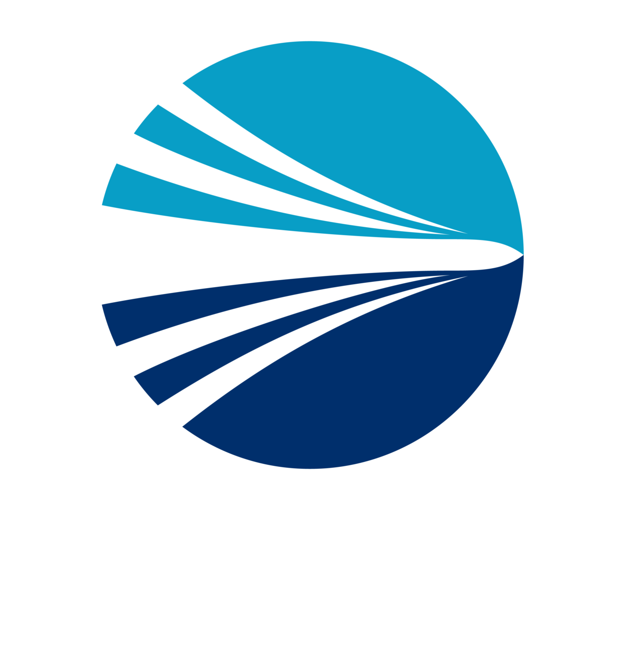 Vessels ty vene